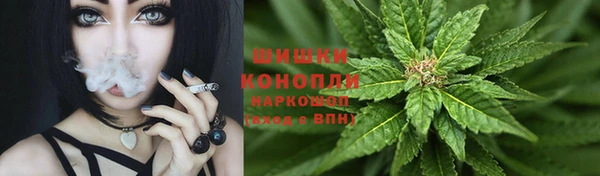 крисы Арсеньев