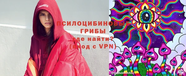 apvp Покачи