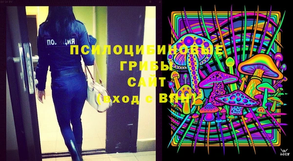 apvp Покачи